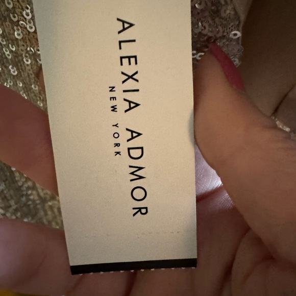 Elegant Silver Sequin Dress - Picture 7 of 9